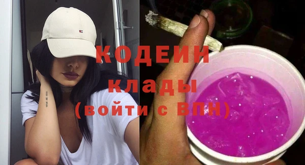 шишки Белоозёрский