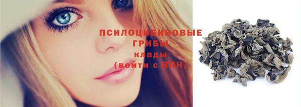 скорость Белокуриха