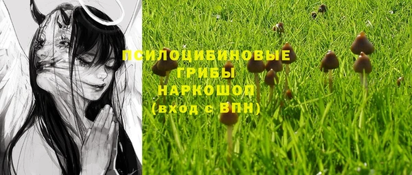 шишки Белоозёрский
