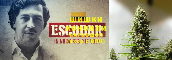 скорость Белокуриха